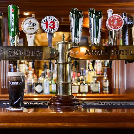 ホテル Mcsweeney Arms 3*