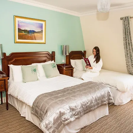 Mcsweeney Arms キラーニー