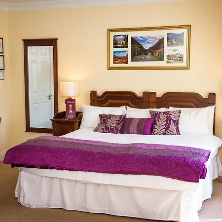 Mcsweeney Arms מלון קיל איירן