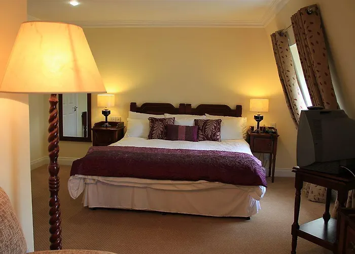 Mcsweeney Arms 3* Killarney