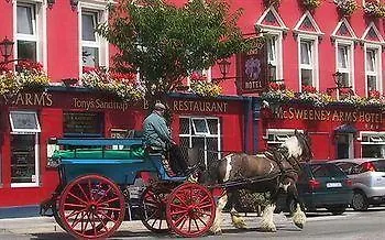 Mcsweeney Arms 3* Killarney