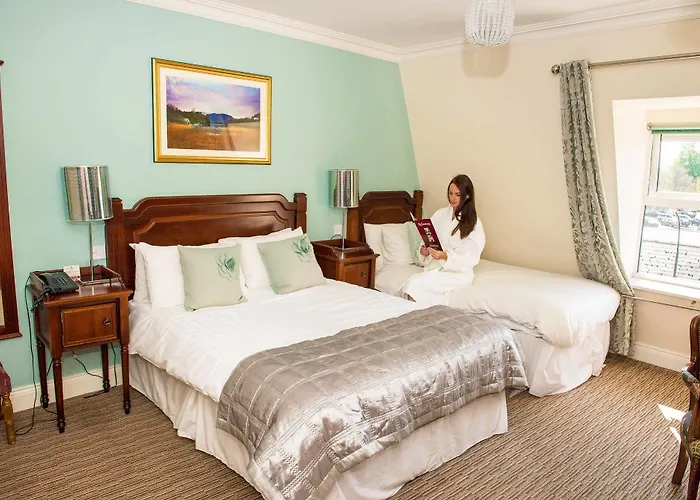 Mcsweeney Arms קיל איירן