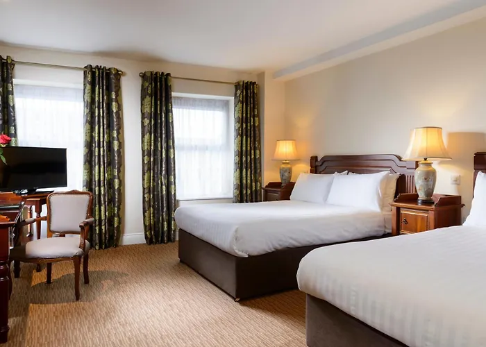 Mcsweeney Arms Hotel 3*