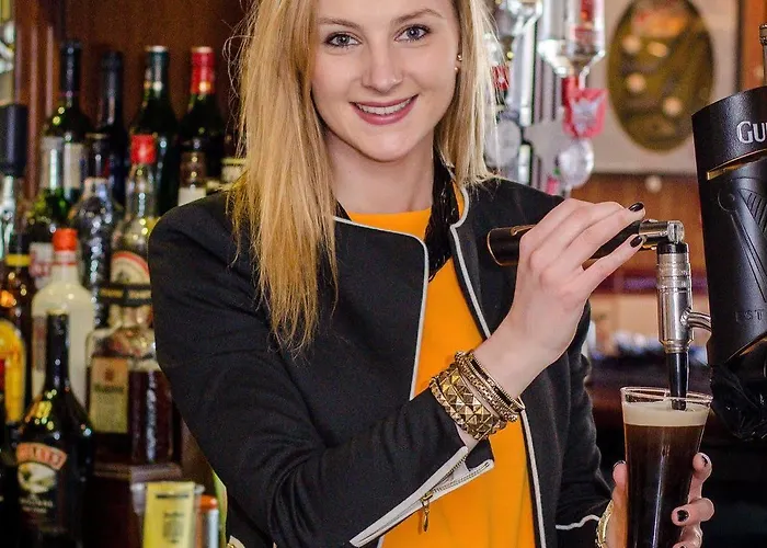 Mcsweeney Arms Hotel 3*