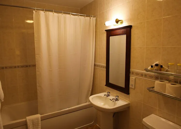 Mcsweeney Arms Hotel Killarney